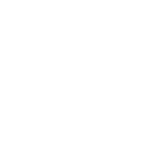 USA Passport Online